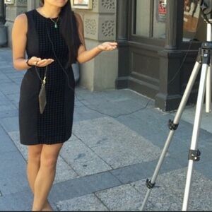 Calvin Klein Classic Sleeveless Career Houndstooth Black Midi Dress